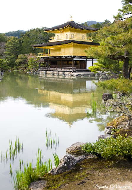 Día 14 - Kyoto (Arashiyama) - Japón primavera 2016 - 18 días (con bajo presupuesto) (21)