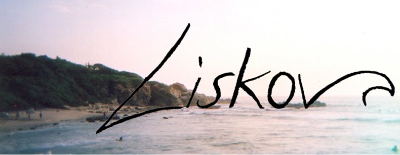 Liskov | Surf, Yoga, Art, Food, More...