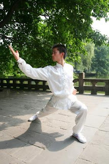 Kung Fu Techniques Explained