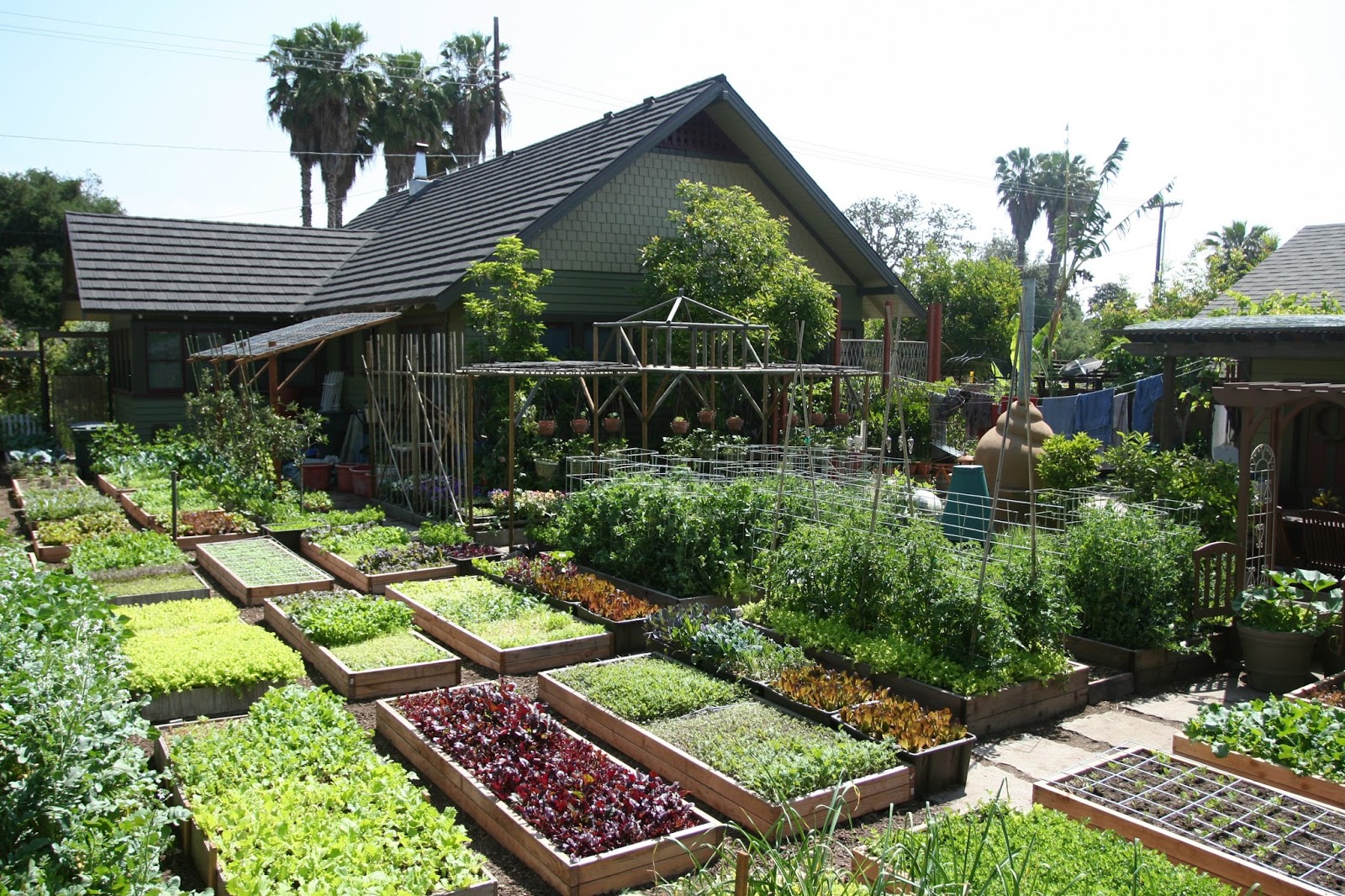Learn How This Family Grows 6,000 Lbs Of Food on Just 1/10th Acre