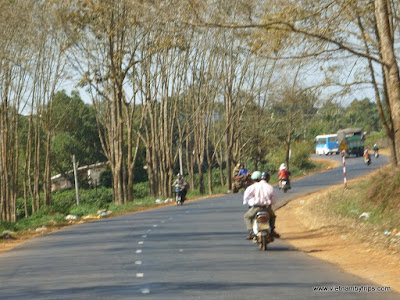 Buon Ma Thuot trip - national road 14