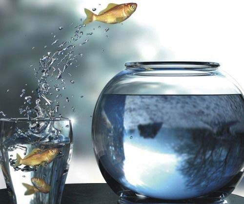 Taşınıyorum.. Ev arıyorum Taşınıyorum.. Ev arıyorum