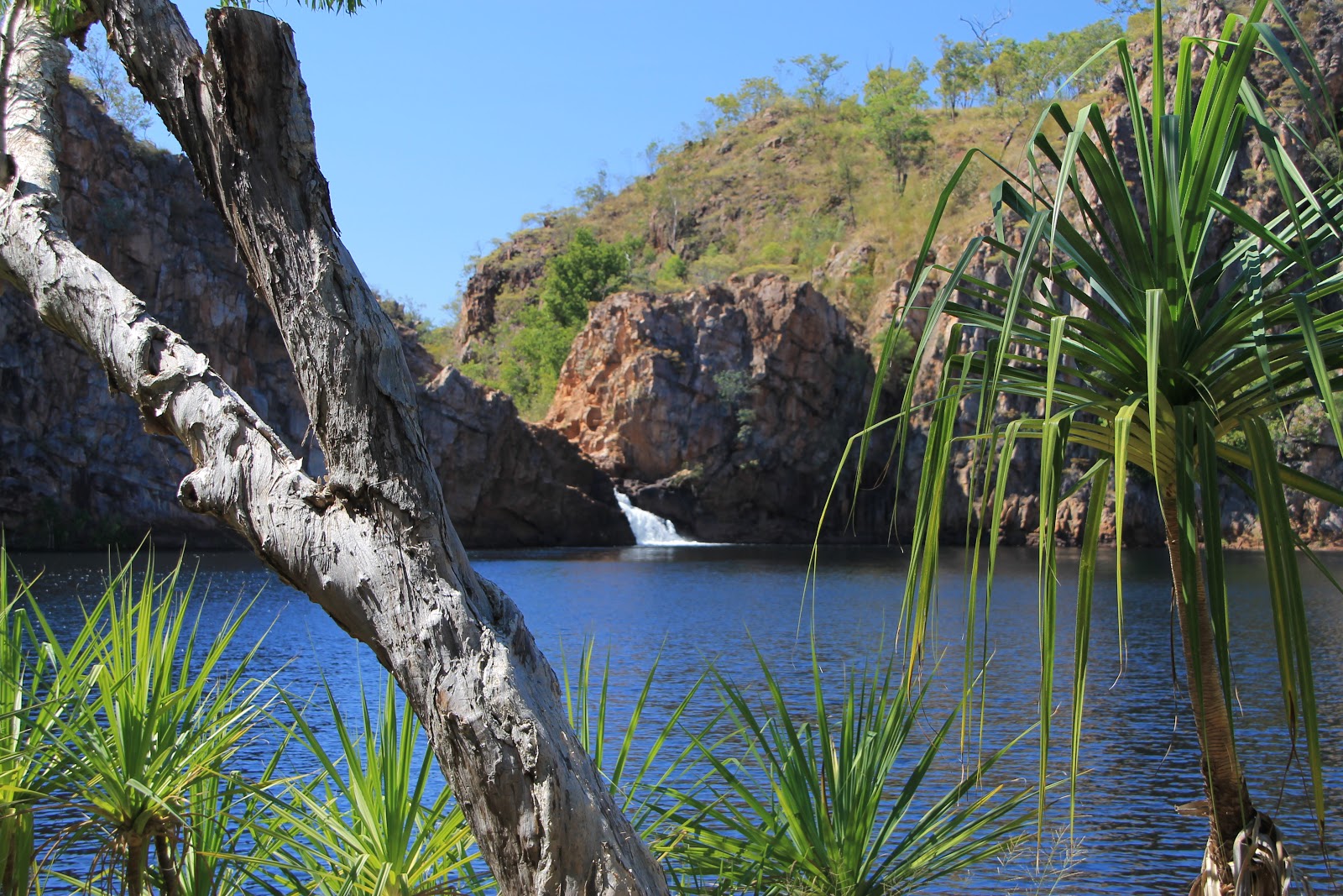 2011 Darwin Trip 26th July 2011 Adelaide River Katherine