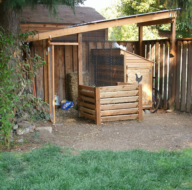 Pennsylvania Ave. Chickens in the Dog Run, Dogs in the Chicken Run