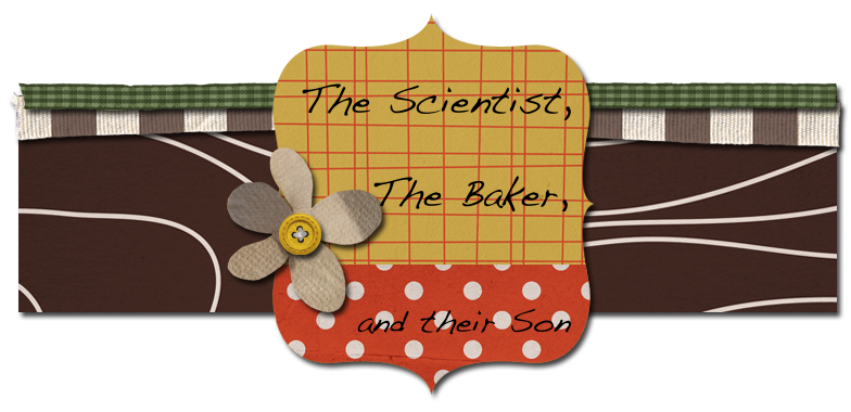 The Scientist, the Baker, and their Son