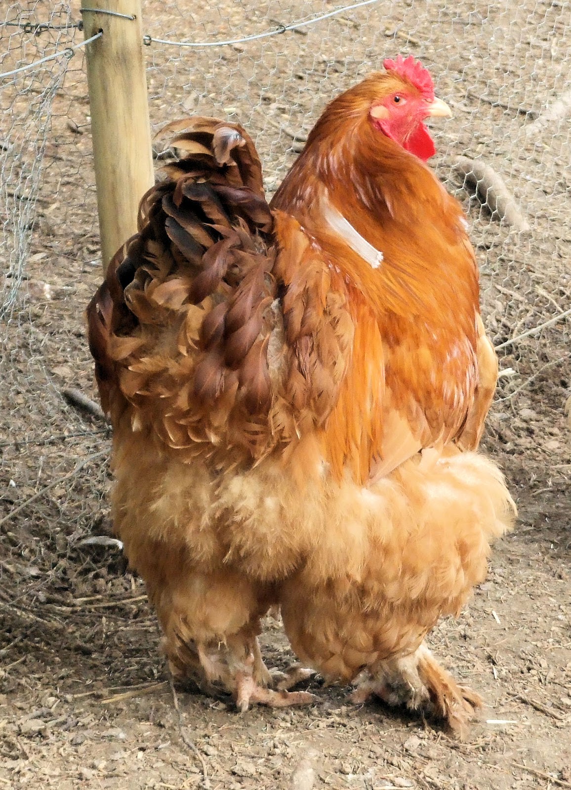 A Partir De Quelle Age Une