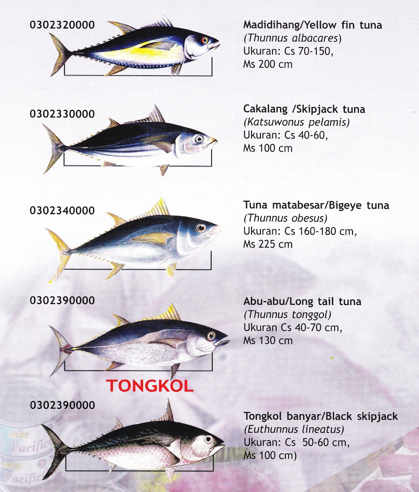 Tuna Fish Distribution