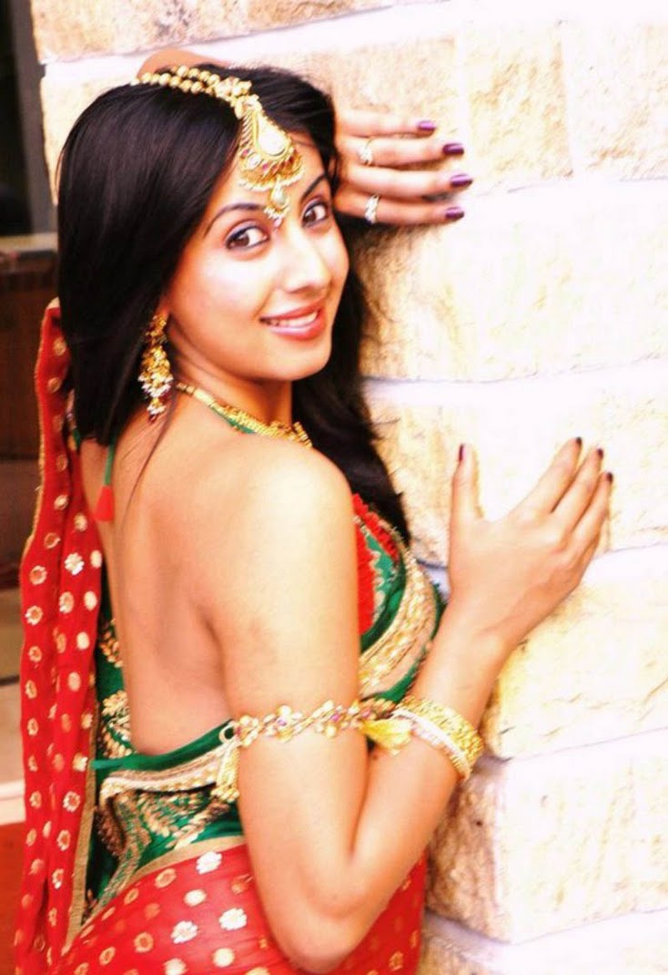 Sanjana in Seducing Transparent saree