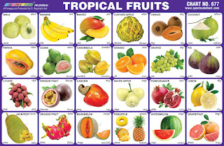 Tropical Fruits Chart