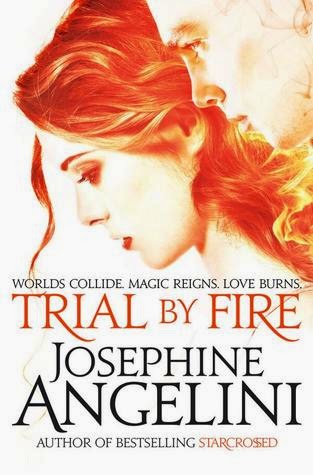 https://www.goodreads.com/book/show/22087268-trial-by-fire