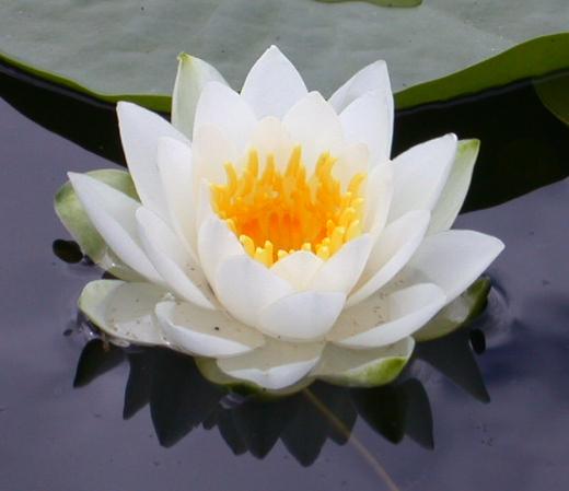 My Image 2