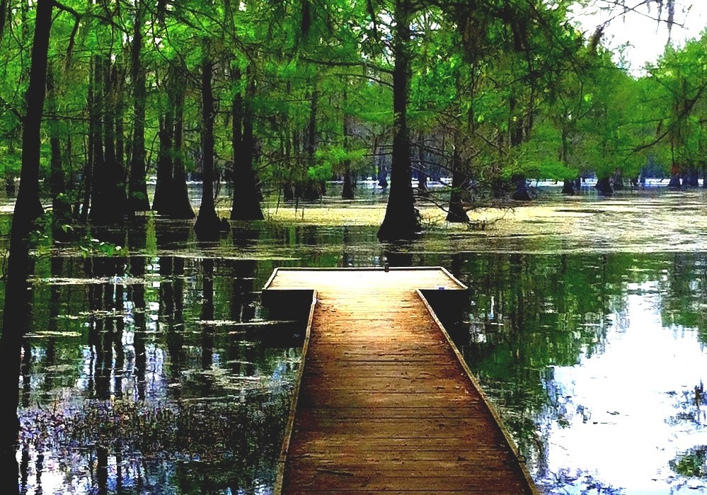 Lake Bistineau State Park Lake Bistineau State Park Cabins