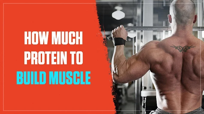 How much protein do you need to develop your muscle every day? How much protein do you need to develop your muscle every day?