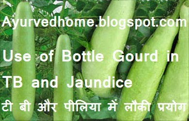 Use of Bottle Gourd in TB and Jaundice  टी बी और पीलिया के रोग का इलाज़ लौकी के पास TB or Peelia Rog Mein Ghiya ka Paryog