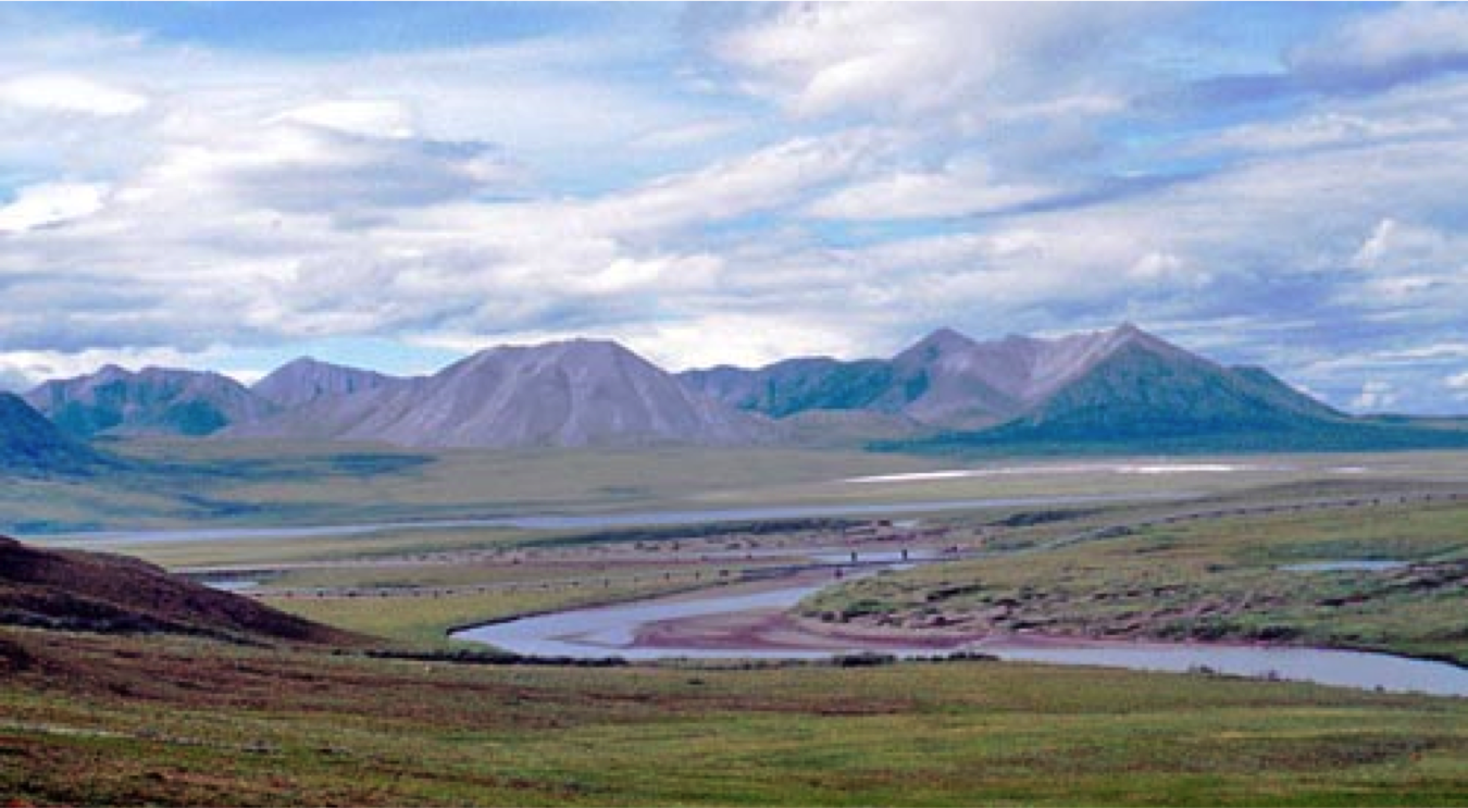 the artic tundra the arctic tundra what is tundra