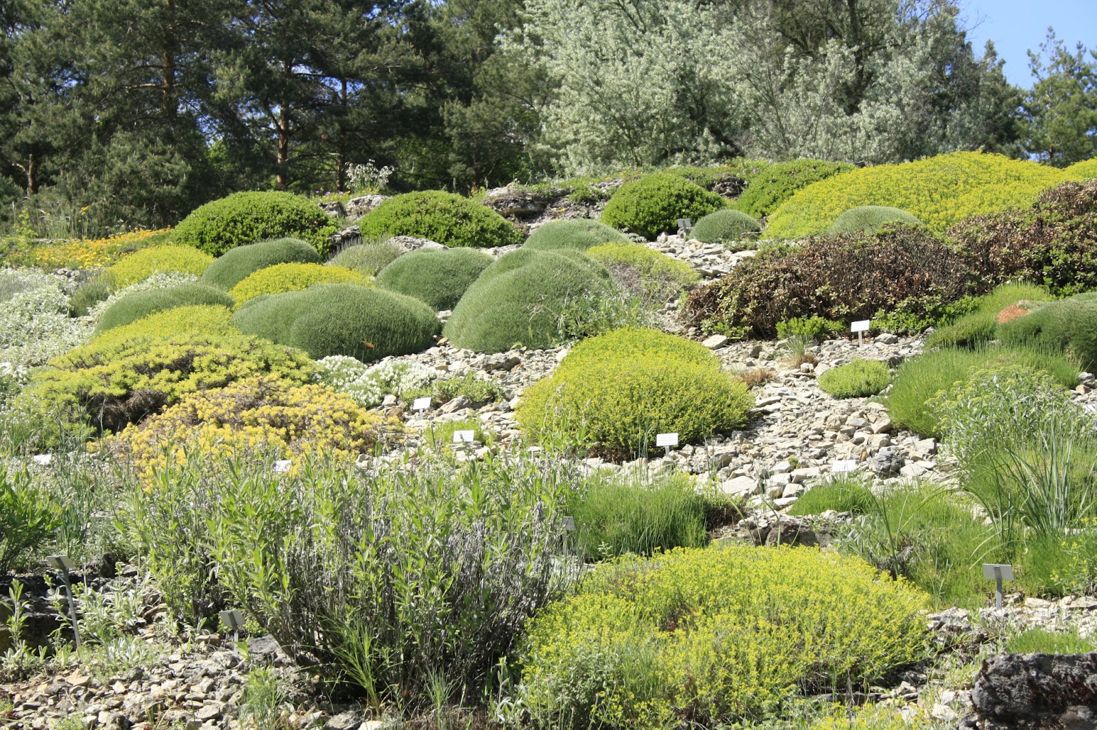 Unterfrankes Welt Botanischer Garten Wurzburg Verschiedenes