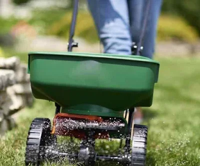Fertilizing your lawn with Scott seed spreader - www.leovandesign.com