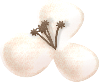 Flores del Clipart de Ositos con Rosas y Corazones. Flores del Clipart de Ositos con Rosas y Corazones.