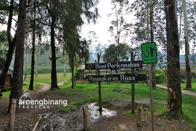 bumi perkemahan ranca upas ciwidey
