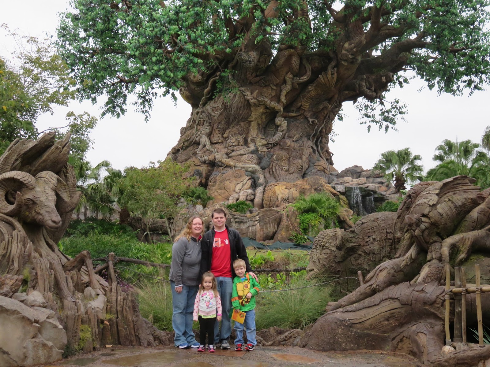 Disney's Animal Kingdom | Back Home Again: Disney's Animal Kingdom