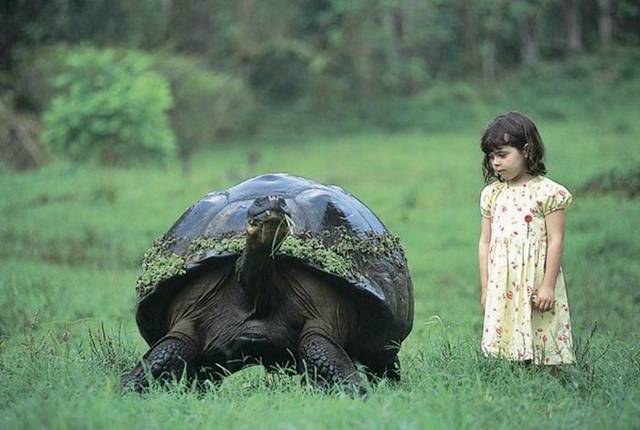 Picdump-Ritemail-031.jpg