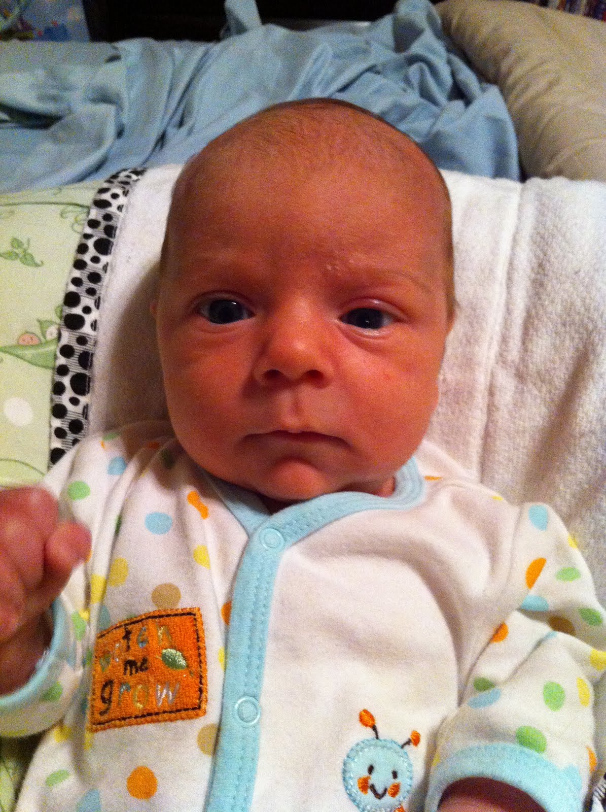 Flying Away... 5 weeks old...growth spurt