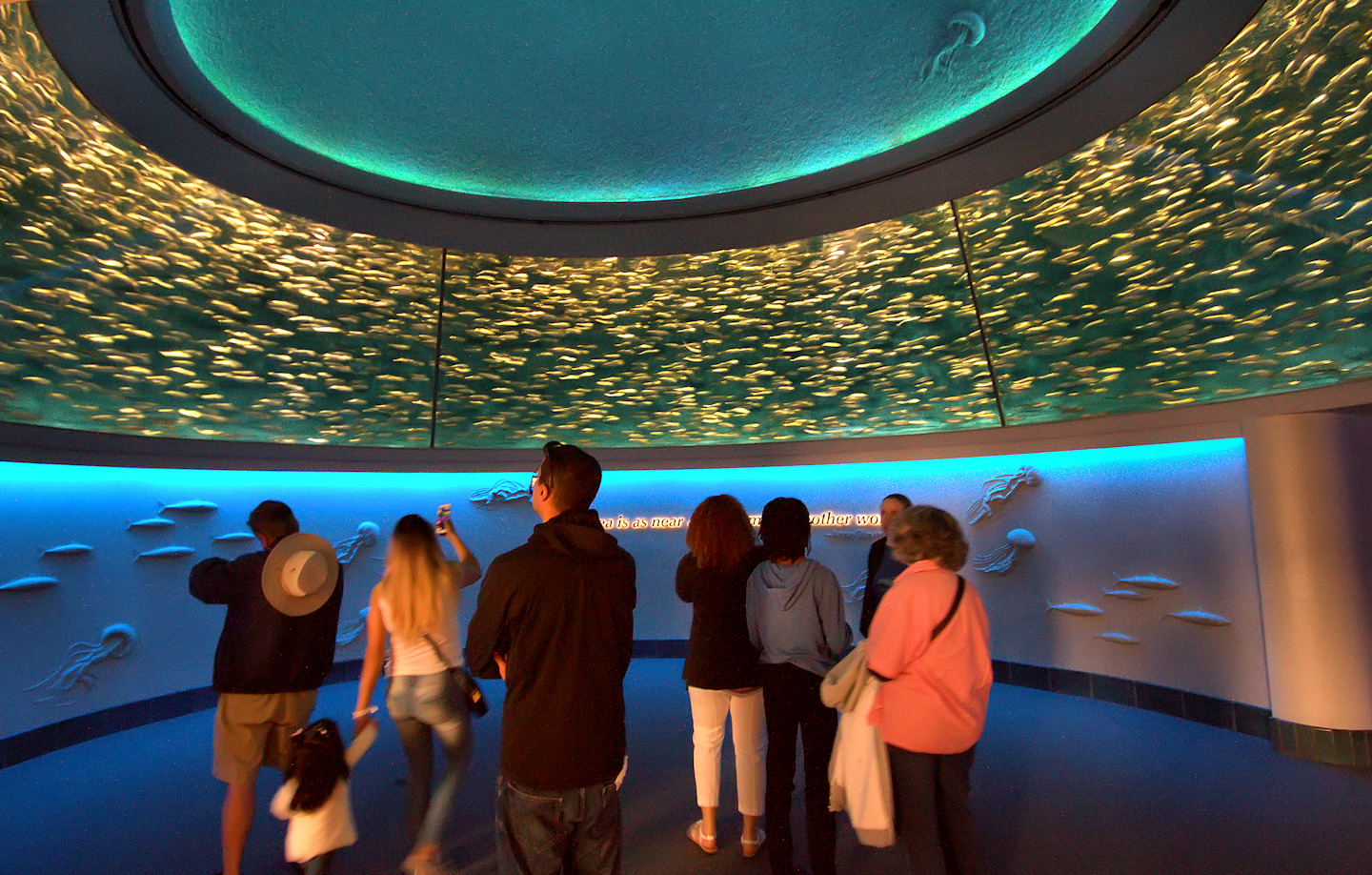 Southwest Florida Forks The Monterey Bay Aquarium and Lunch at The