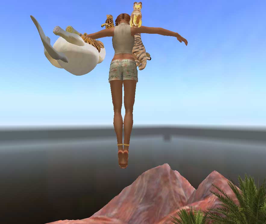 [Image: flying%2Bwith%2Bcats.jpg]