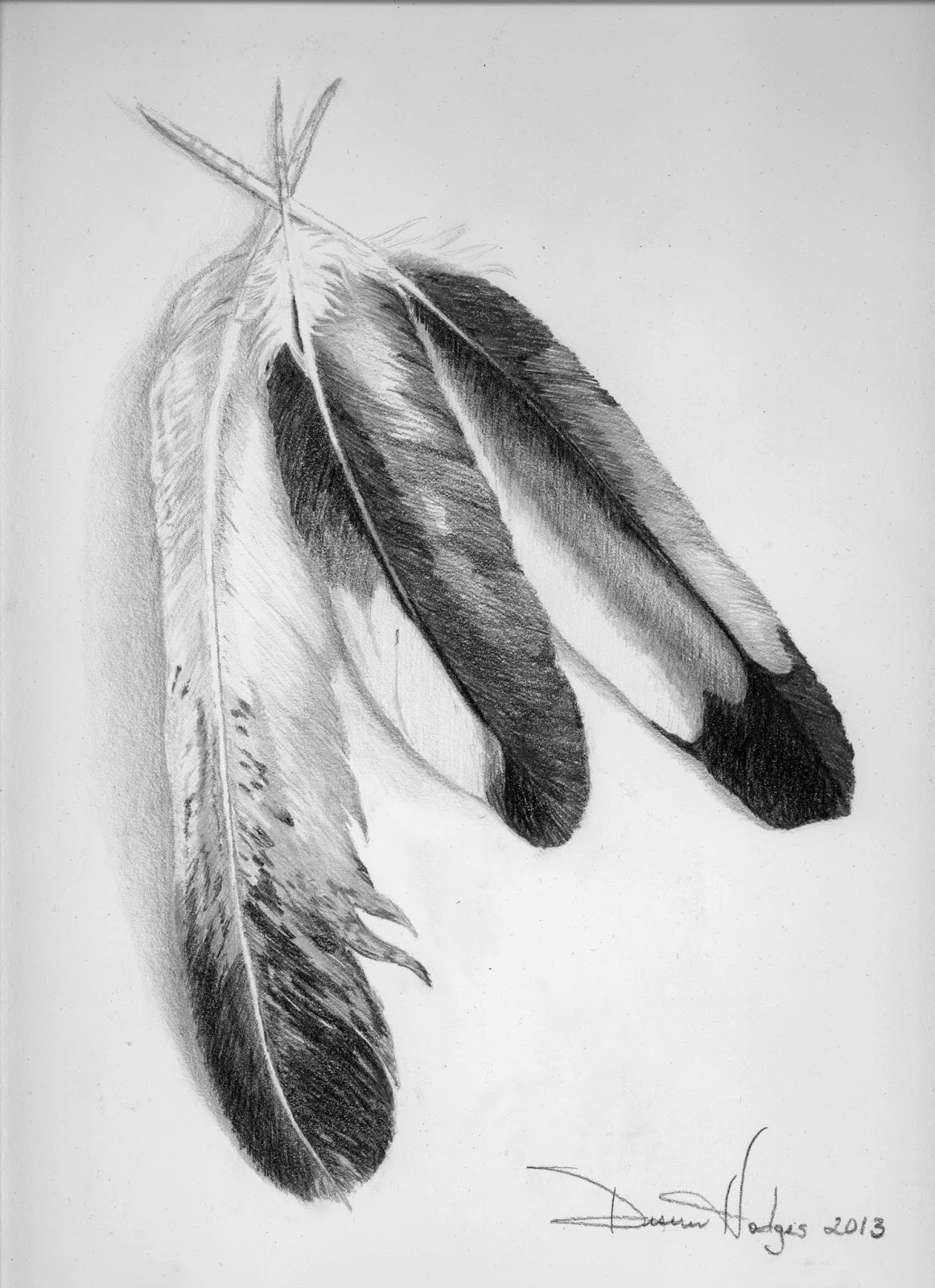 ... eagle feather for your design for your eagle tattoo or something else