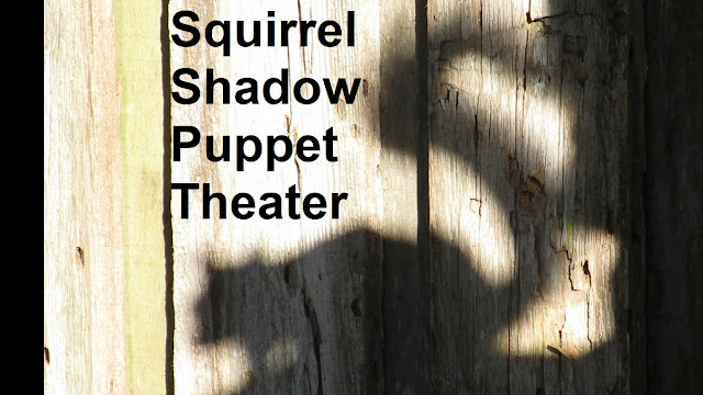 Squirrel Shadow Puppet Theater
