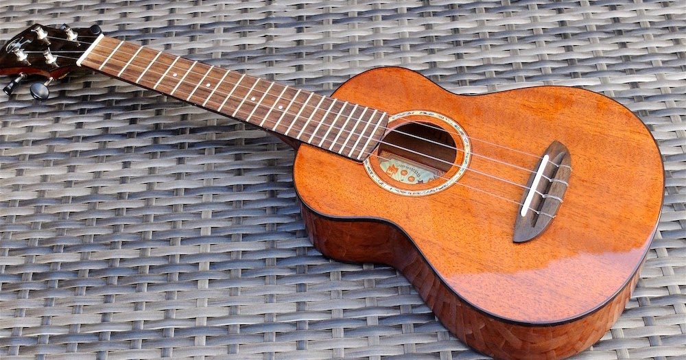 aNueNue Africa Mahogany II Concert Ukulele REVIEW