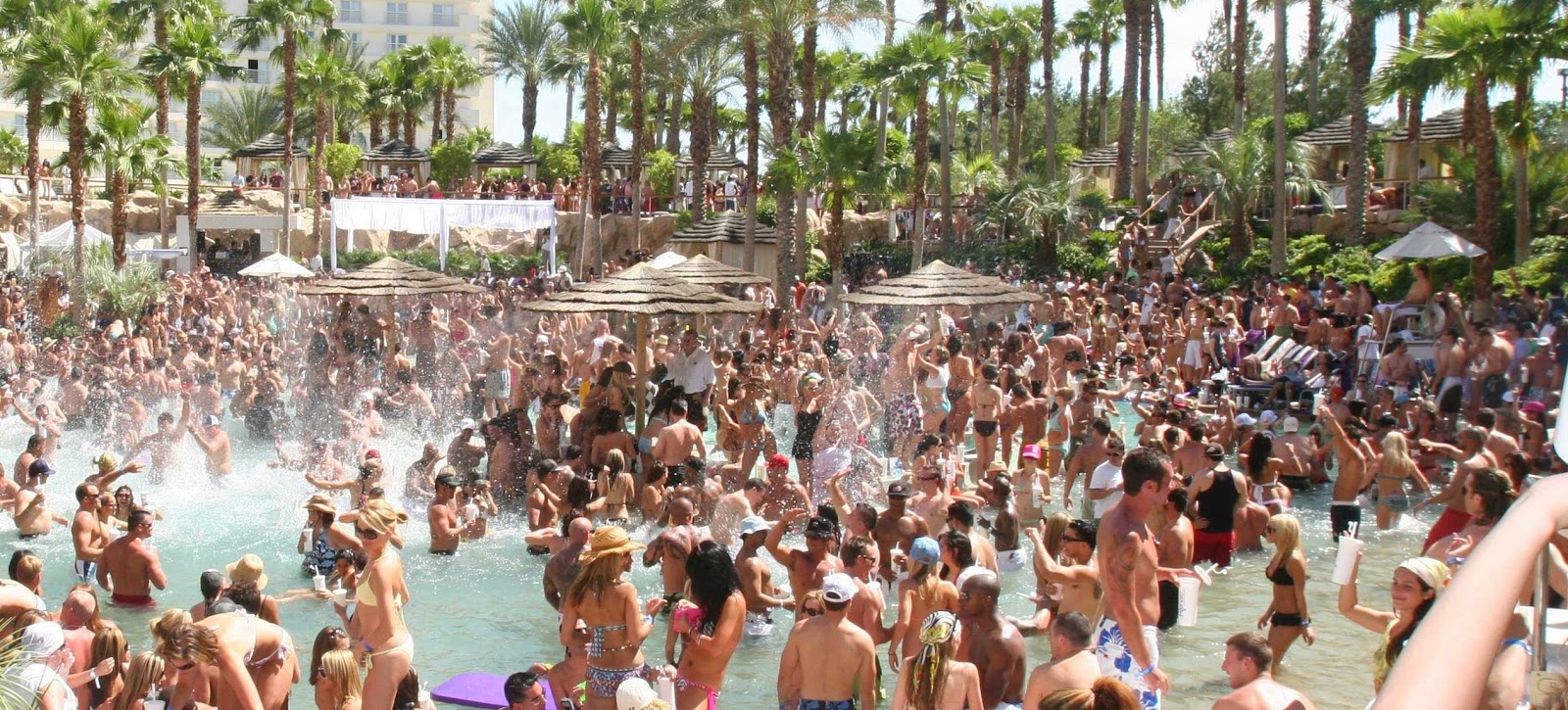 Vegas Pool Party Pictures 