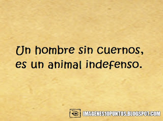 frases feministas frases feministas