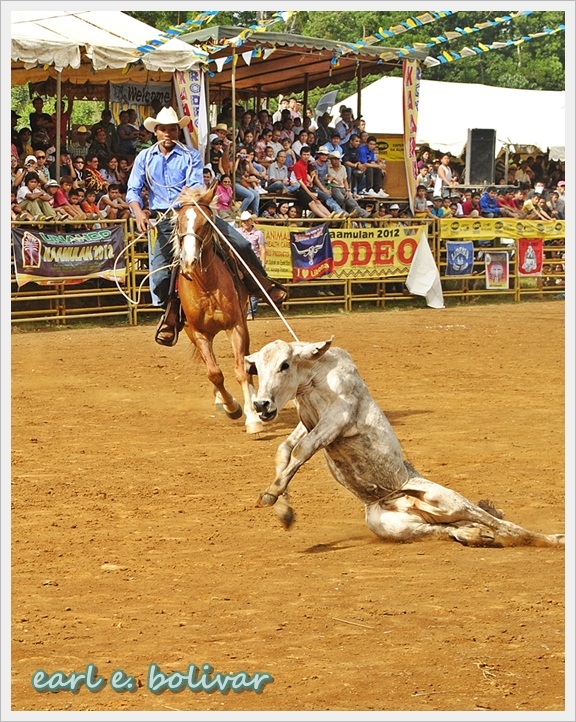 Bukidnon Photo Journal: Wild, Wild West Action of the Kaamulan Rodeo 2012
