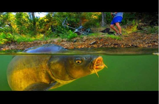 Resep Umpan Putih Ikan Mas Sederhana tapi Super Resep Umpan Putih Ikan Mas Sederhana tapi Super