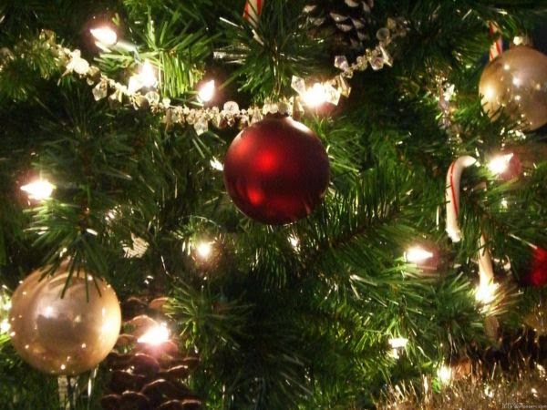 Some tips you have in fantastic Christmas Tree