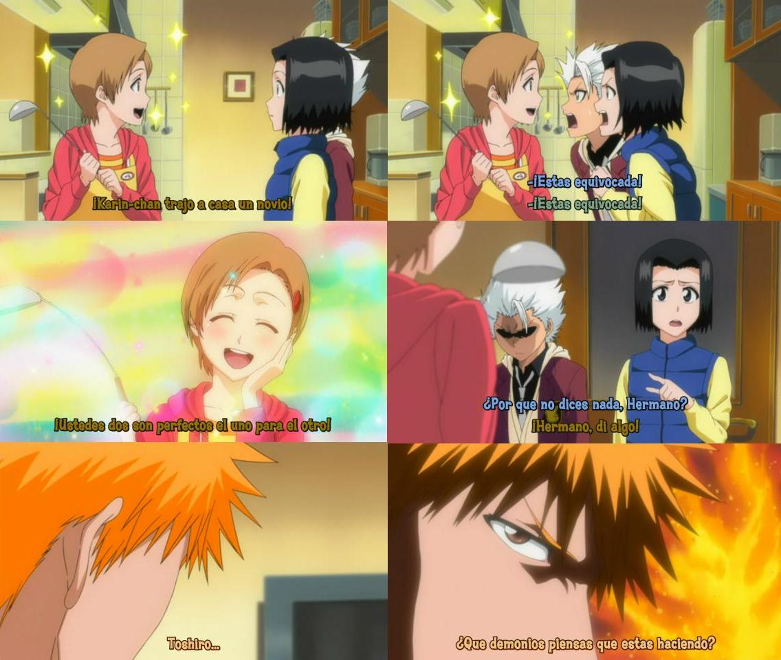 Personajes y parejas bleach. Hitsugaya y Karin.