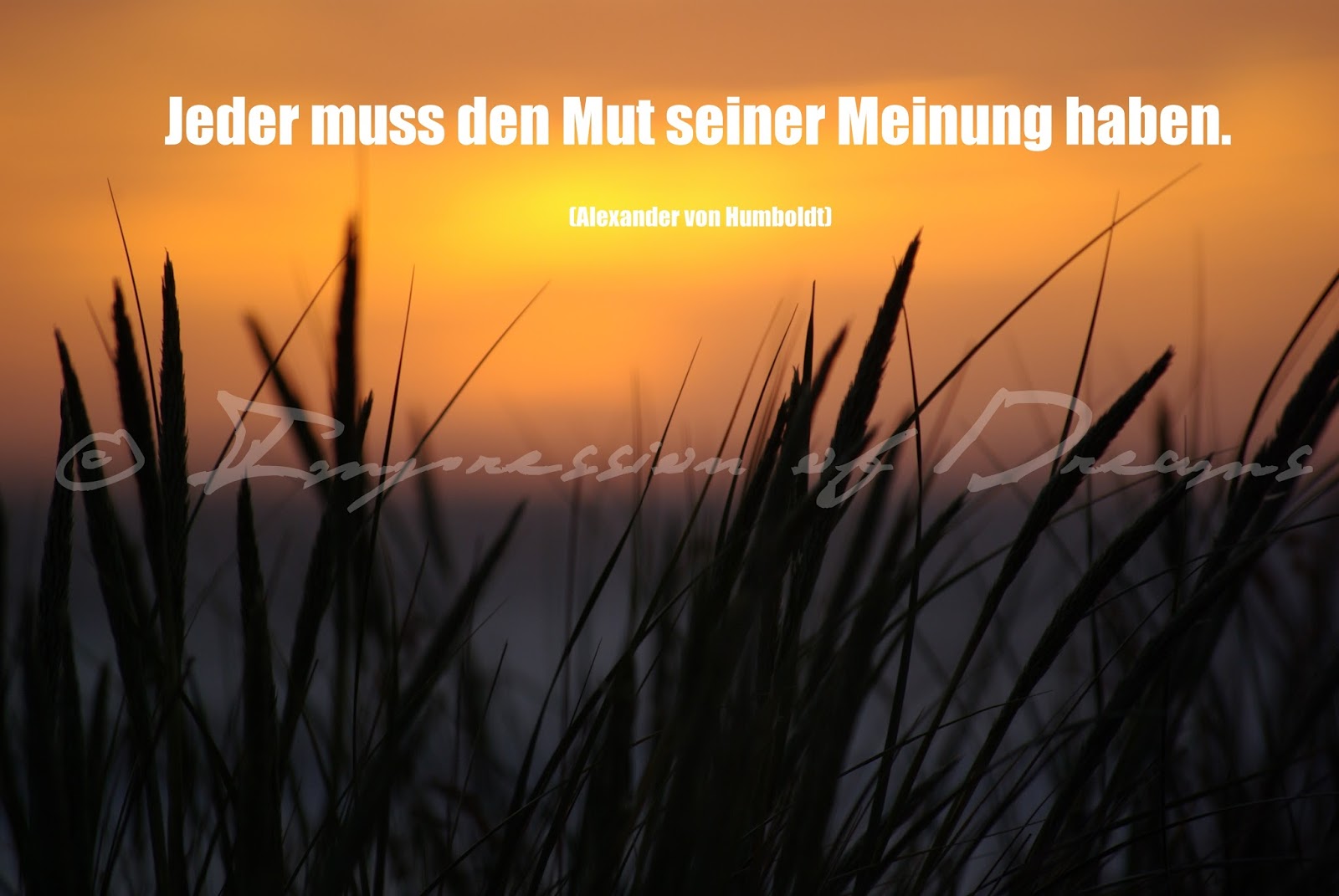 Get Mut spruch des tages Desktop Wallpaper Free