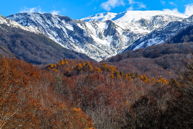 #photo #landscape #sigma #foveon #sdquattroh #japan #yamagata #tsuruoka #山形県 #鶴岡市 #山形帝國 #写真 #風景写真