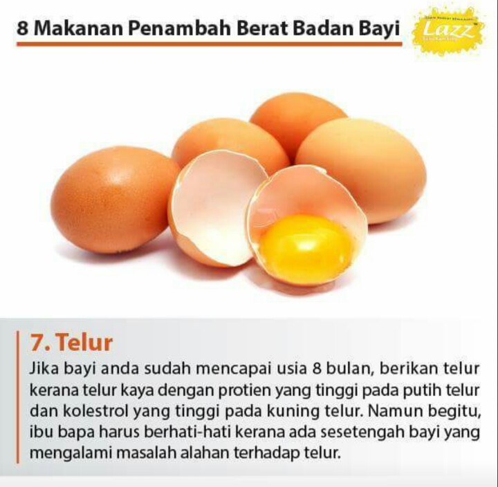 Susu Penambah Berat Badan Bayi Usia 8 Bulan