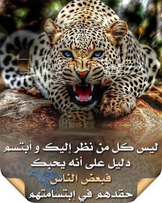 حكم وامثال وأقوال  .. - صفحة 95 Shof_491cea1396f0201