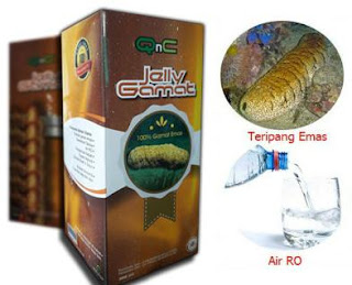 Pengobatan Tradisional Penyakit Infeksi Ginjal