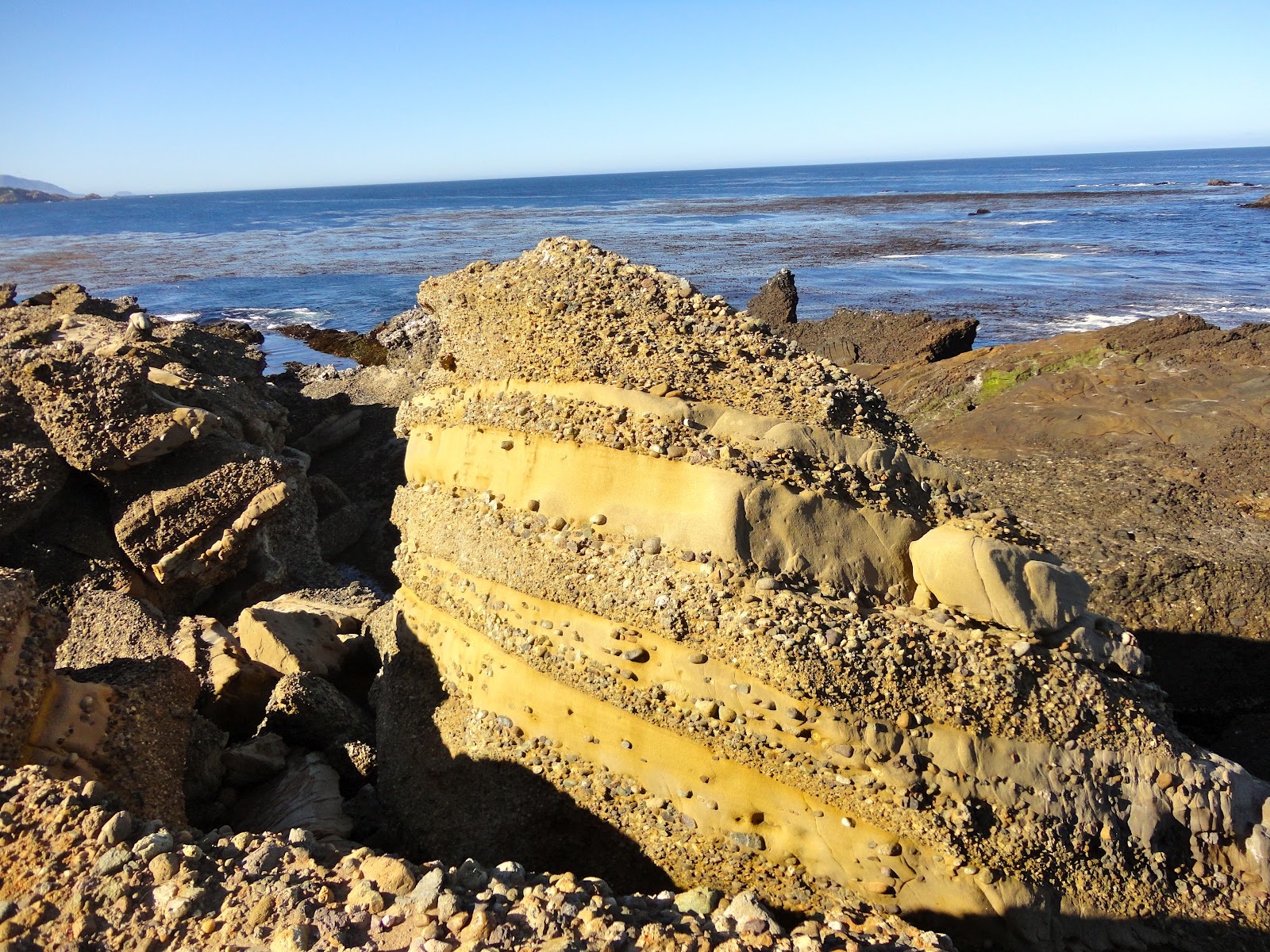 Every Day Is Special August 4, 2012 Happy Birthday, Johann Gottlob