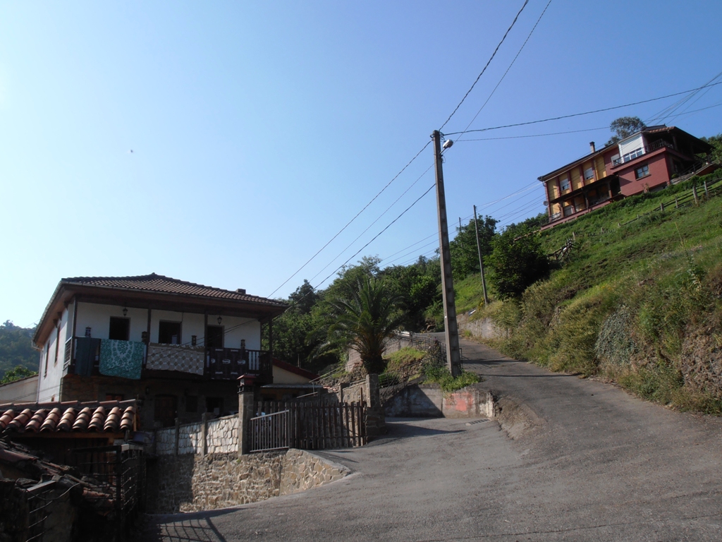 UN LUGAR PARA VIVIR Pandel