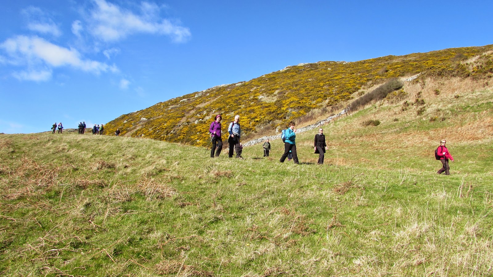 The Glebe Blog: The Wigtownshire Ramblers St Medans to the Isle of ...