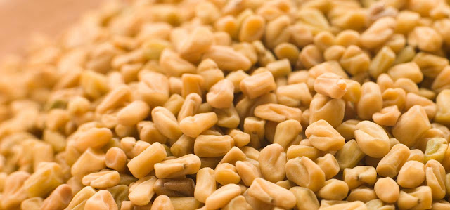 Fenugreek seeds
