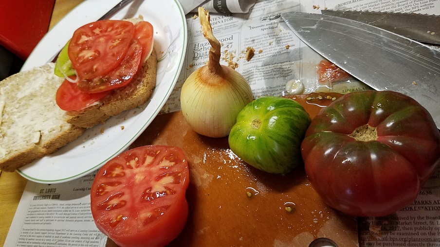 Divinebunbun's Rugged Rural Missouri Tomatoes in February