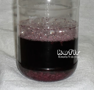 Kefir Alimento Probiótico