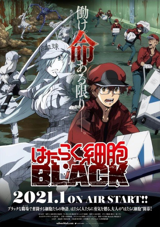 Hataraku Saibou Black Hataraku Saibou Black