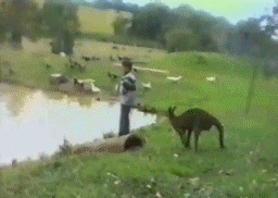 descarga.gif